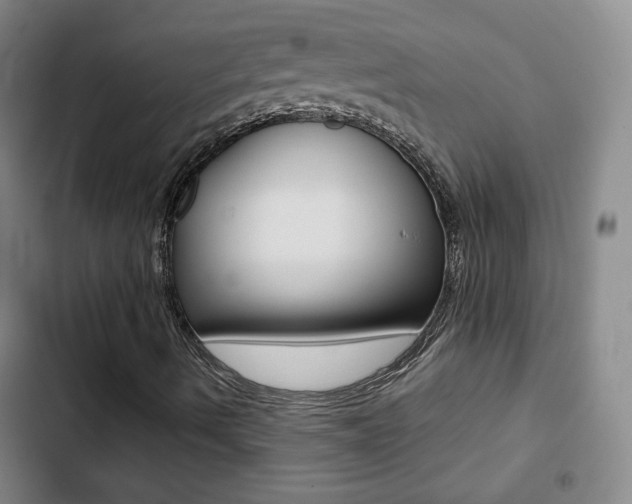 X0000103241490200808281020