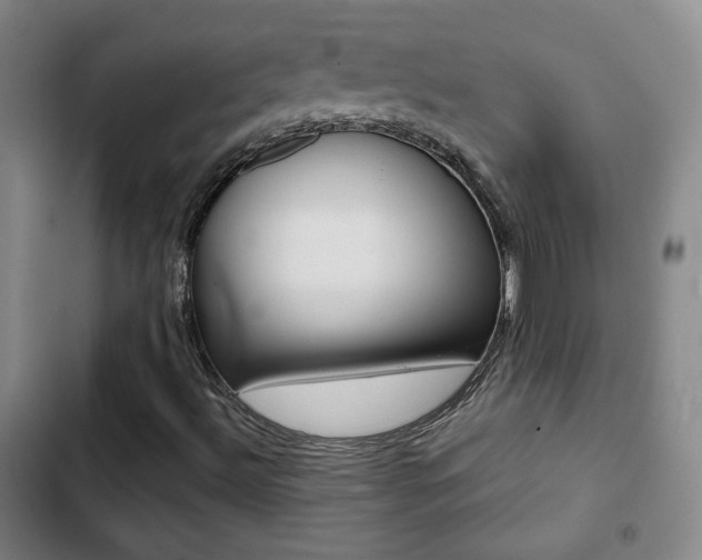 X0000103241492200808281020