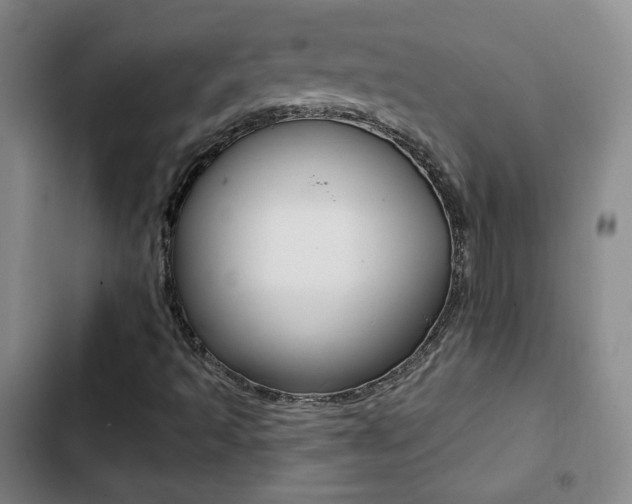 X0000103241493200808281020
