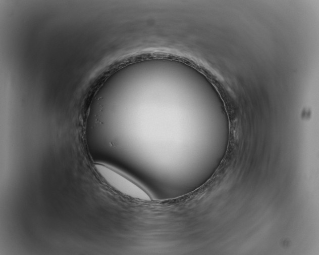 X0000103241495200808281020