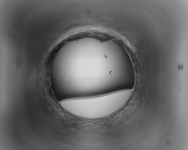 X0000103241496200808281020
