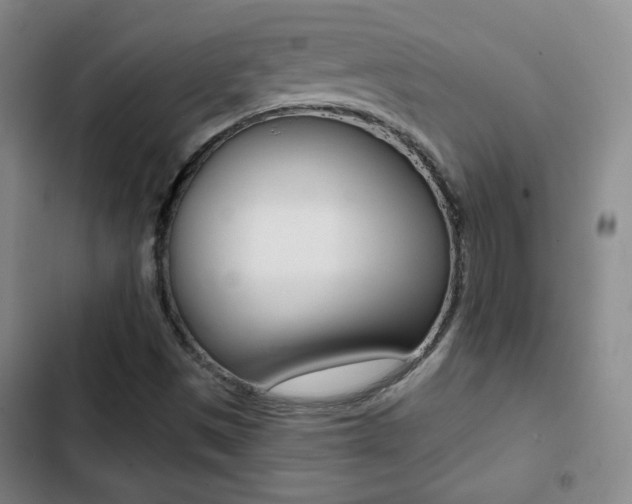 X0000103241497200808281020