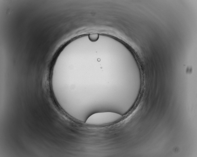 X0000103241498200808281020