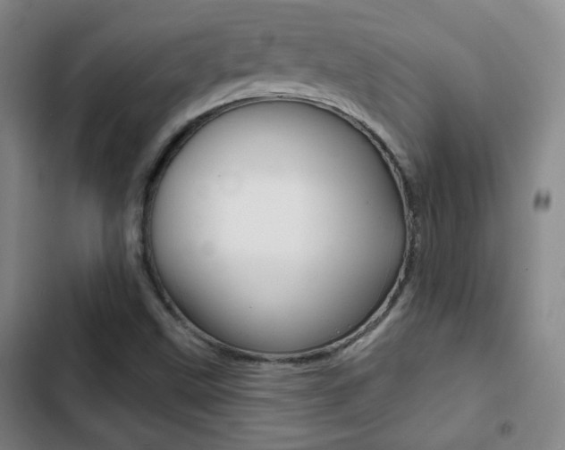 X0000103241499200808281020