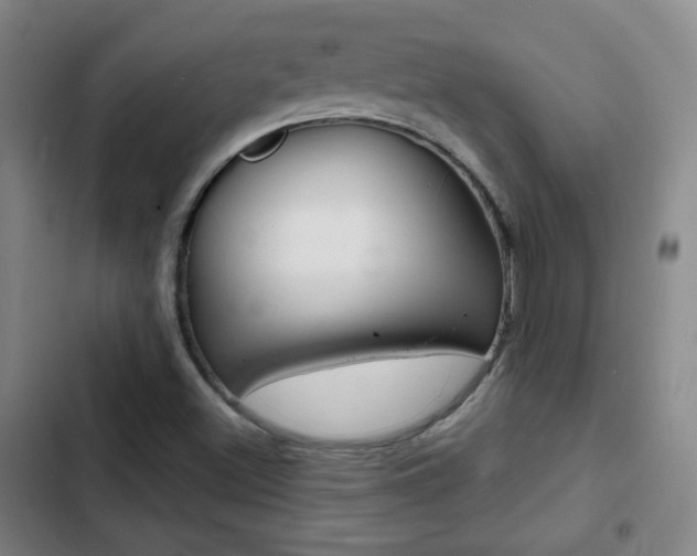 X0000103241500200808281020