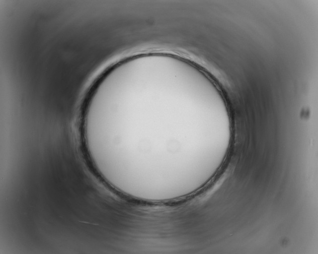 X0000103241502200808281020