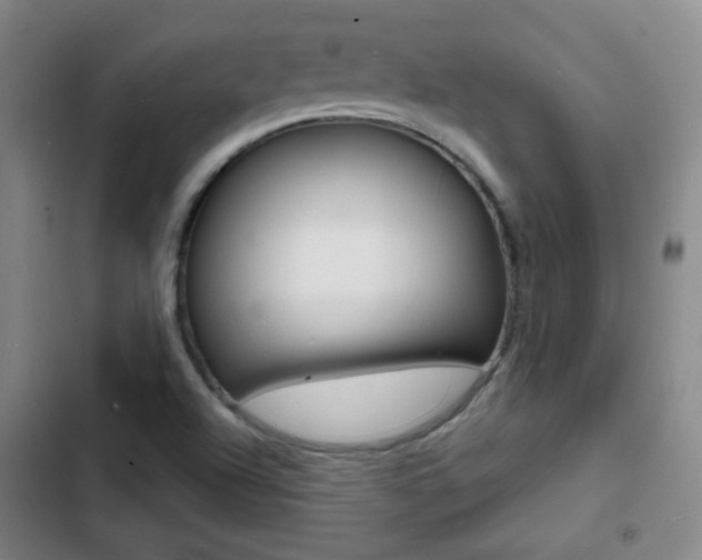 X0000103241504200808281020