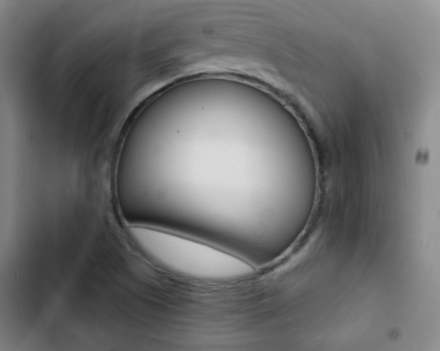 X0000103241505200808281021