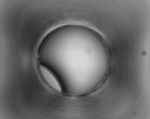 X0000103241507200808281021