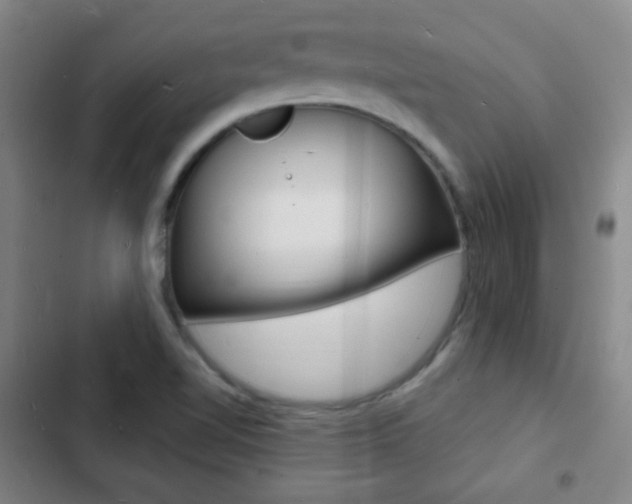 X0000103241510200808281021