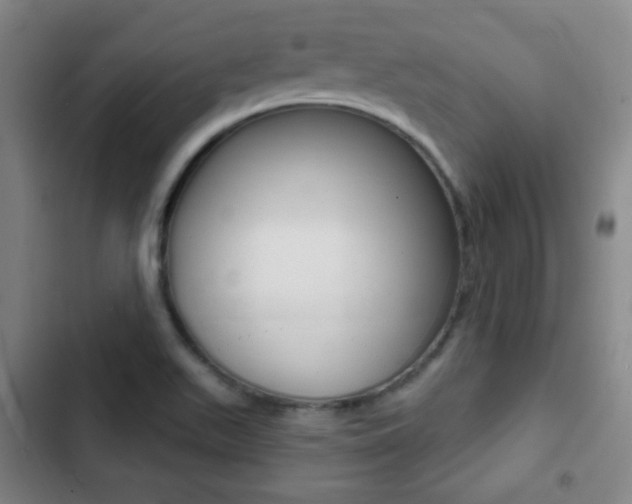 X0000103241511200808281021