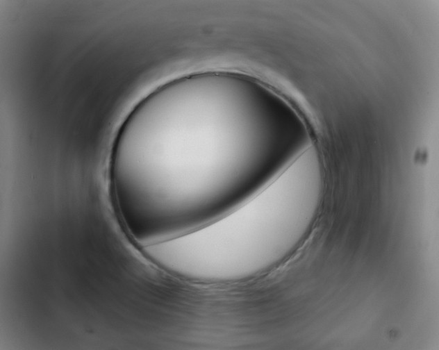 X0000103241512200808281021