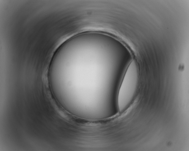 X0000103241513200808281021