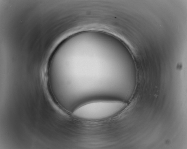 X0000103241515200808281021