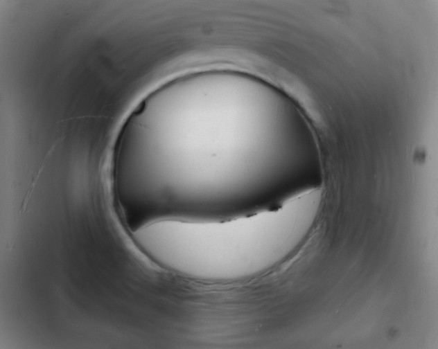 X0000103241516200808281021