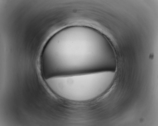 X0000103241517200808281021