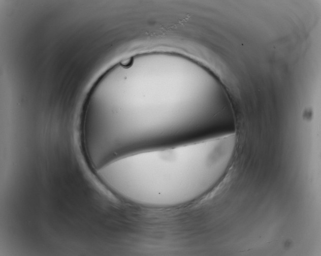 X0000103241518200808281021