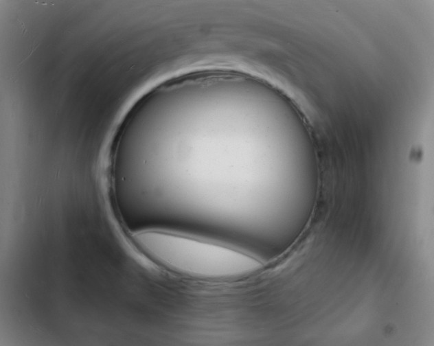 X0000103241519200808281021