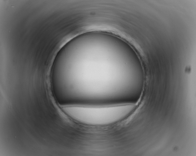 X0000103241521200808281021