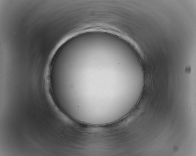 X0000103241522200808281021