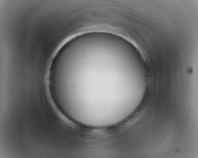 X0000103241523200808281021