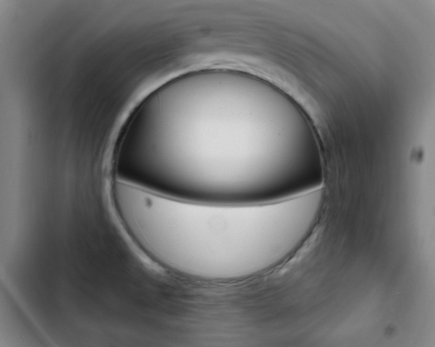 X0000103241525200808281021