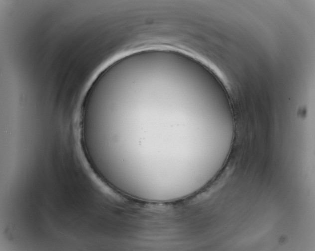 X0000103241526200808281021