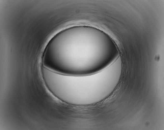 X0000103241527200808281021