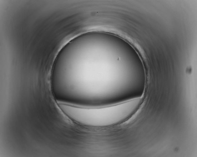 X0000103241529200808281021