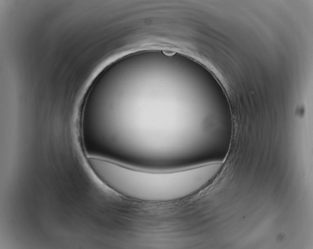 X0000103241531200808281021