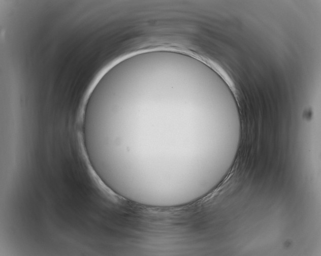 X0000103241532200808281021