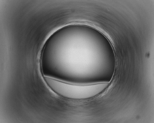 X0000103241533200808281021