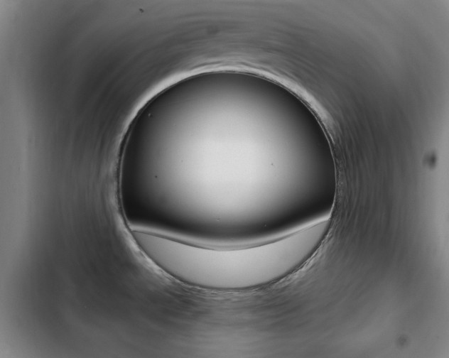 X0000103241534200808281021