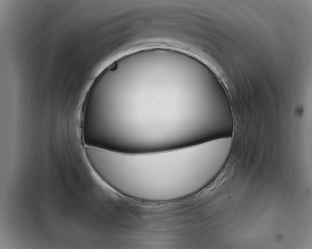 X0000103241535200808281021