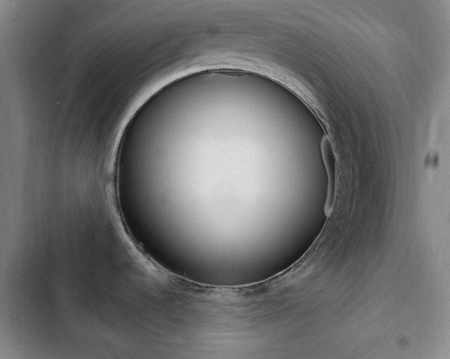 X0000103241536200808281021
