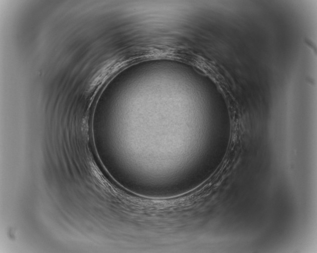 X0000103240002200808281451