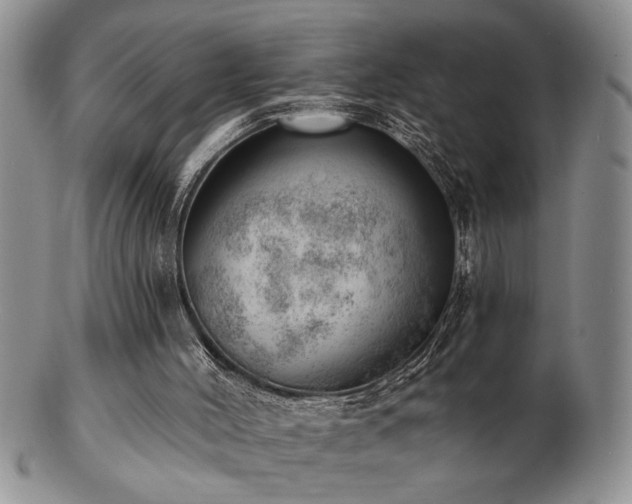 X0000103240004200808281451