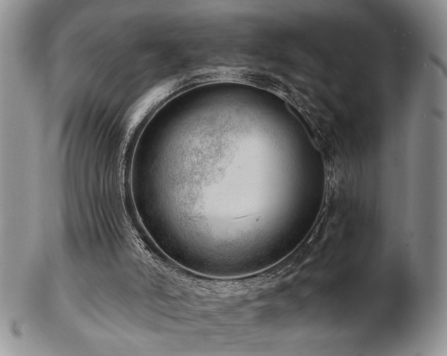 X0000103240006200808281451