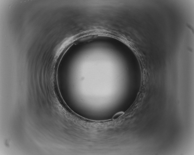 X0000103240007200808281451