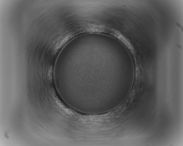 X0000103240009200808281451