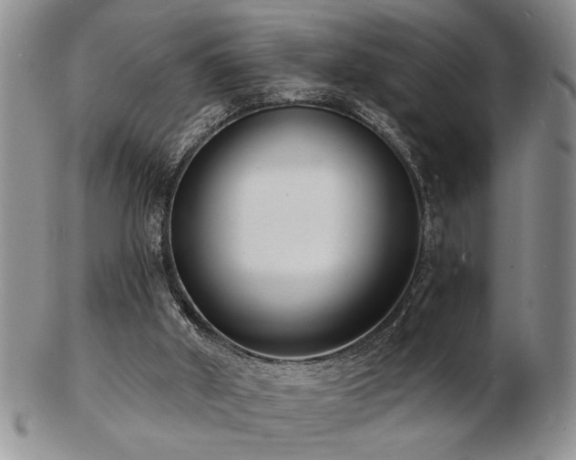 X0000103240010200808281451