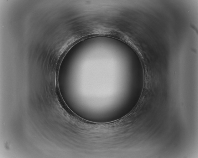 X0000103240011200808281451