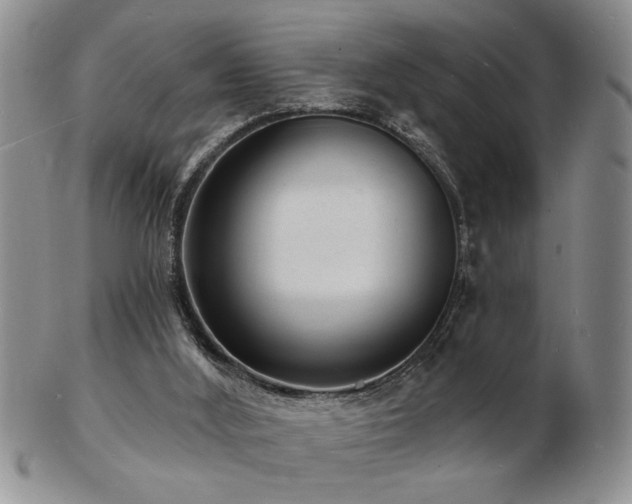 X0000103240012200808281451