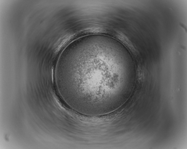 X0000103240014200808281451