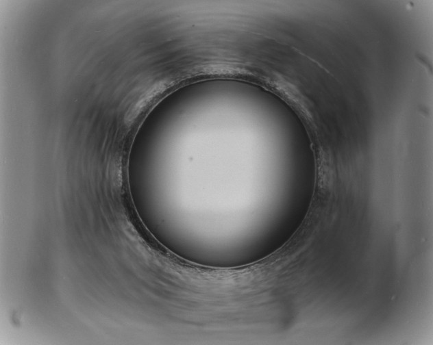 X0000103240015200808281451