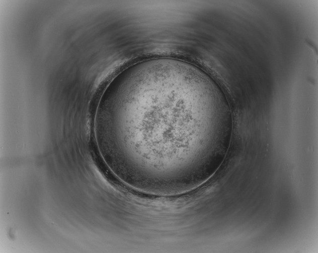 X0000103240016200808281451