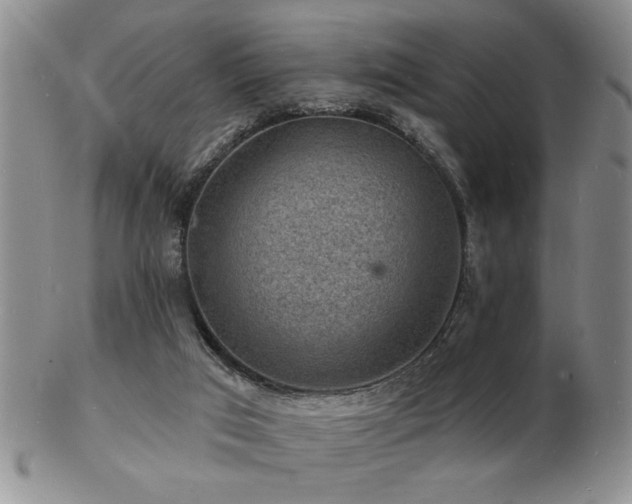 X0000103240017200808281451