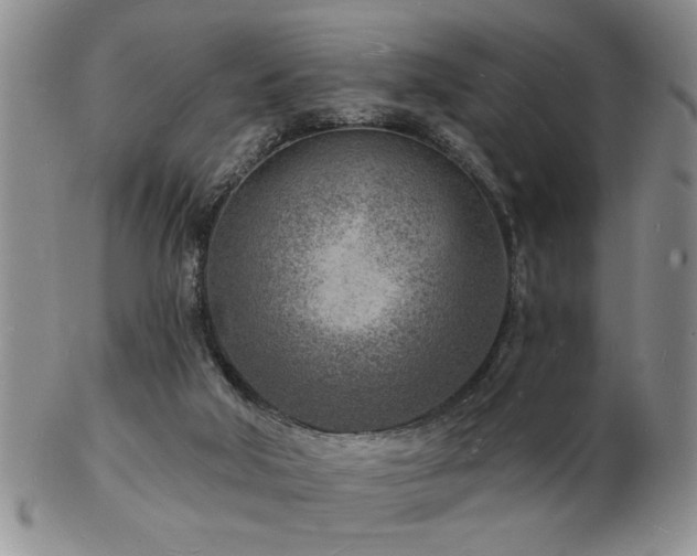 X0000103240018200808281451