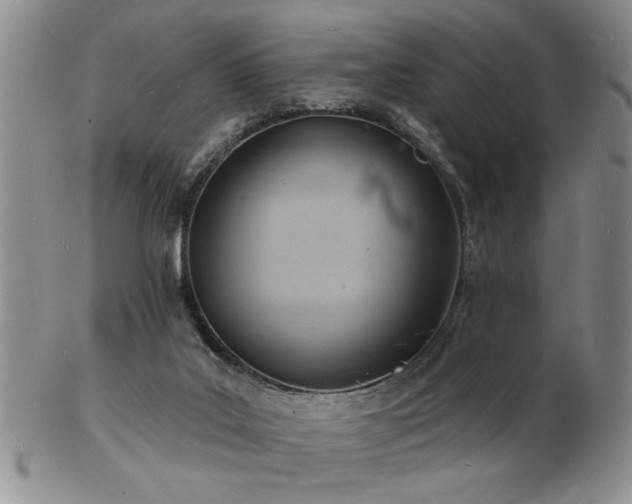 X0000103240019200808281451