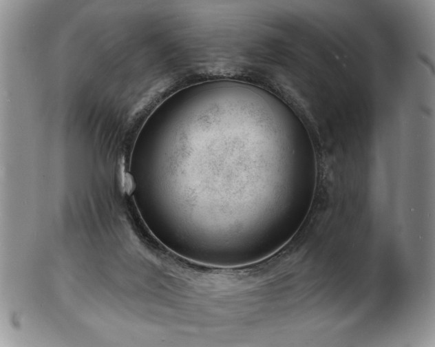 X0000103240020200808281451